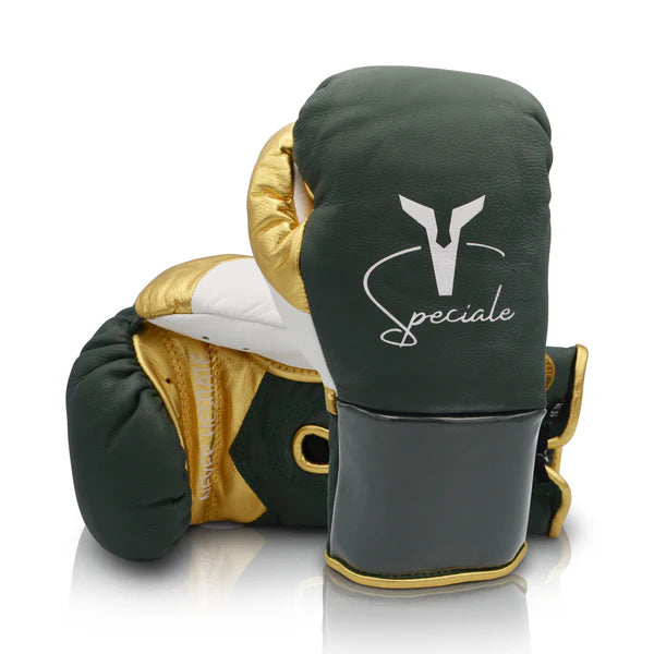 Ares Boxing Gloves Speciale Boxing Glove FM Training Sparring Gloves