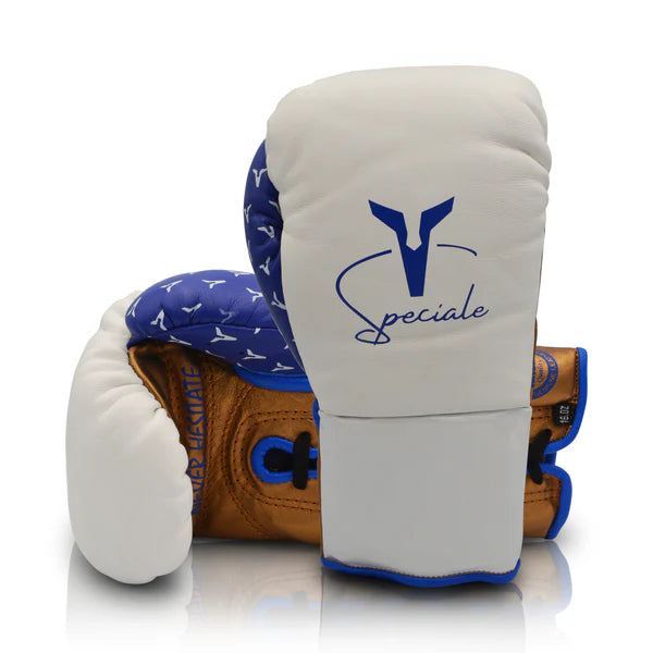 Ares Boxing Gloves Speciale Boxing Glove FFN Training Sparring Gloves