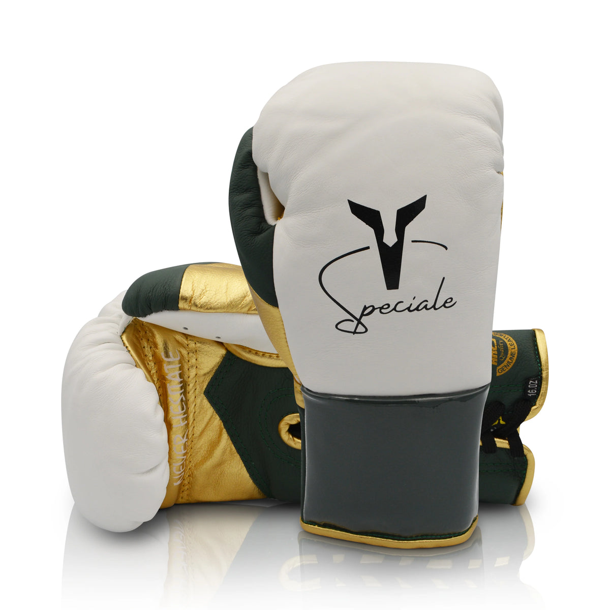 Ares Boxing Gloves Speciale Boxing Glove FFN Training Sparring Gloves