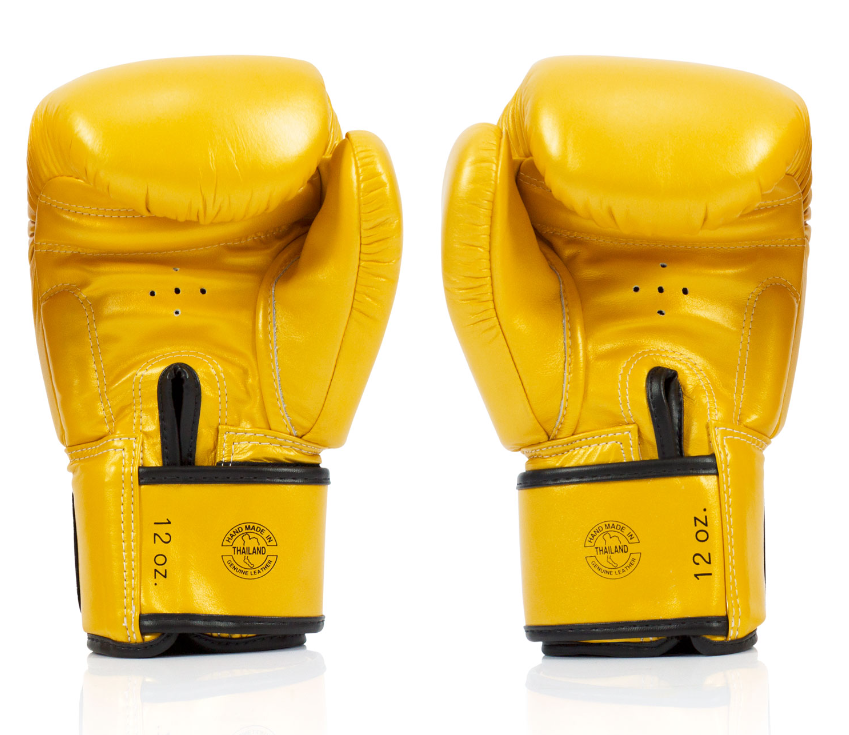 Fairtex Boxing Gloves BGV19 Deluxe Tight-fit Training Sparring Gloves Men